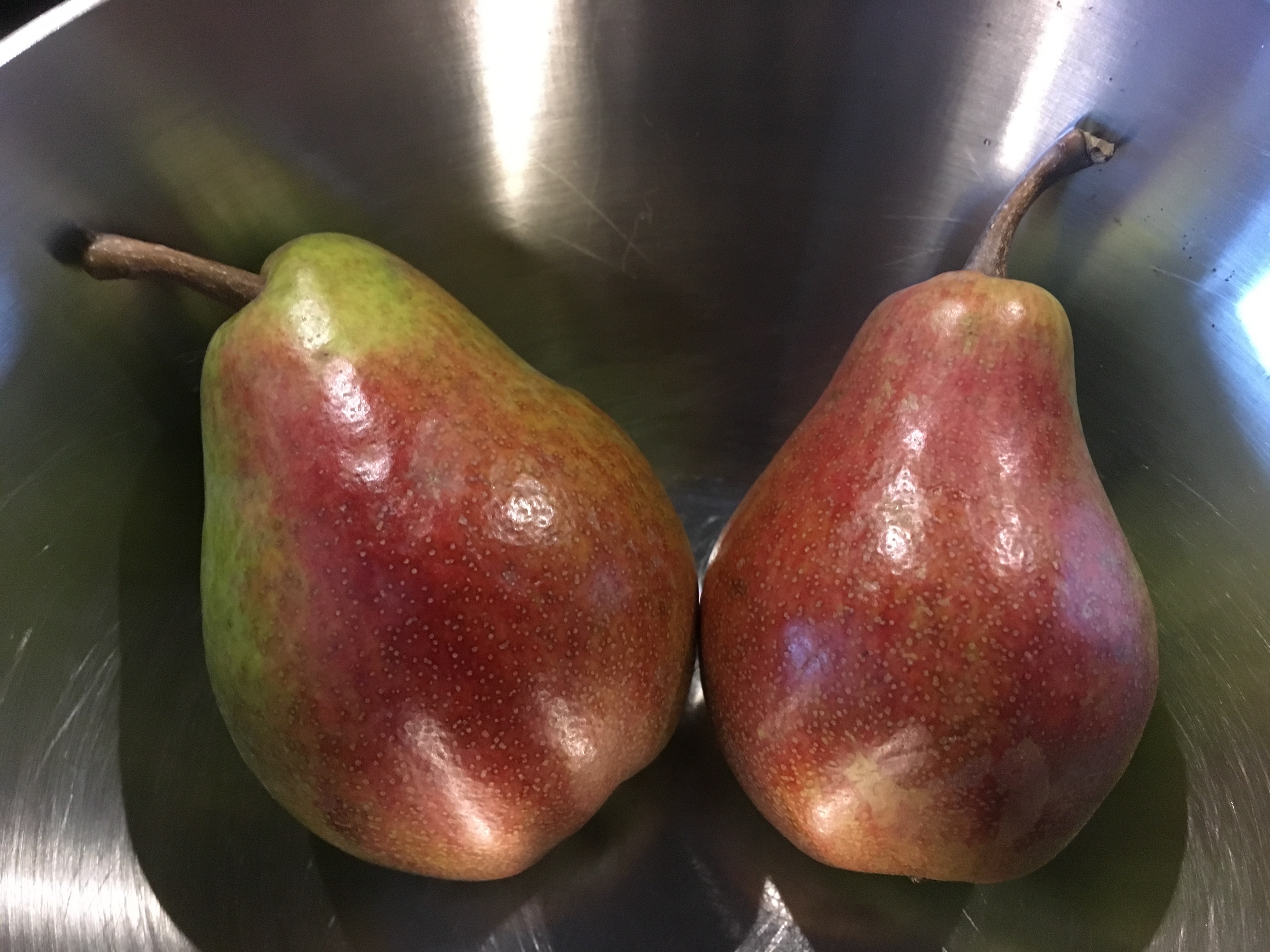 Alte Birnensorte: Clapps Liebling