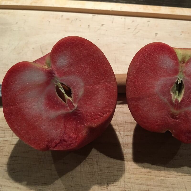 Alte Apfelsorte: Roter Mond